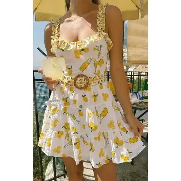 Show Me Your MuMu Dresses & Skirts - NEW NWT Show Me Your Mumu Jolene Mini Dress Limoncello Embroidery Size Medium